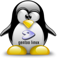 Gentoo Pinguin